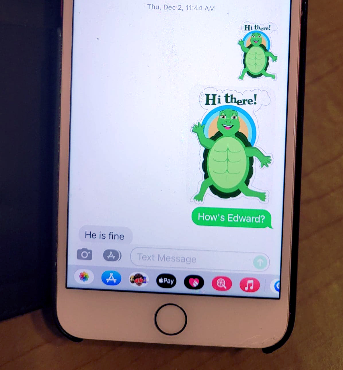 Turtle Emoji Sent on Phone